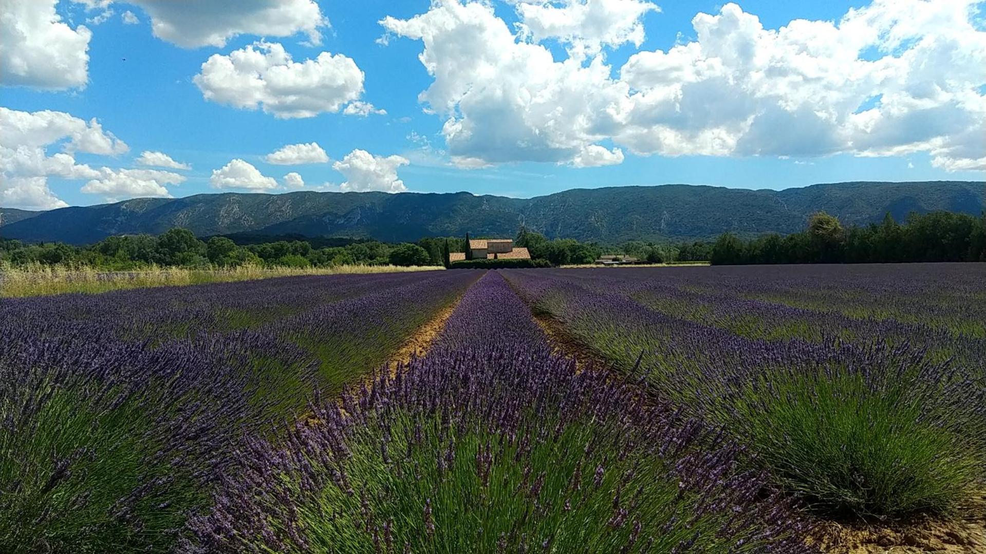 Le Mas De Roussillon Roussillon en Isere Extérieur photo