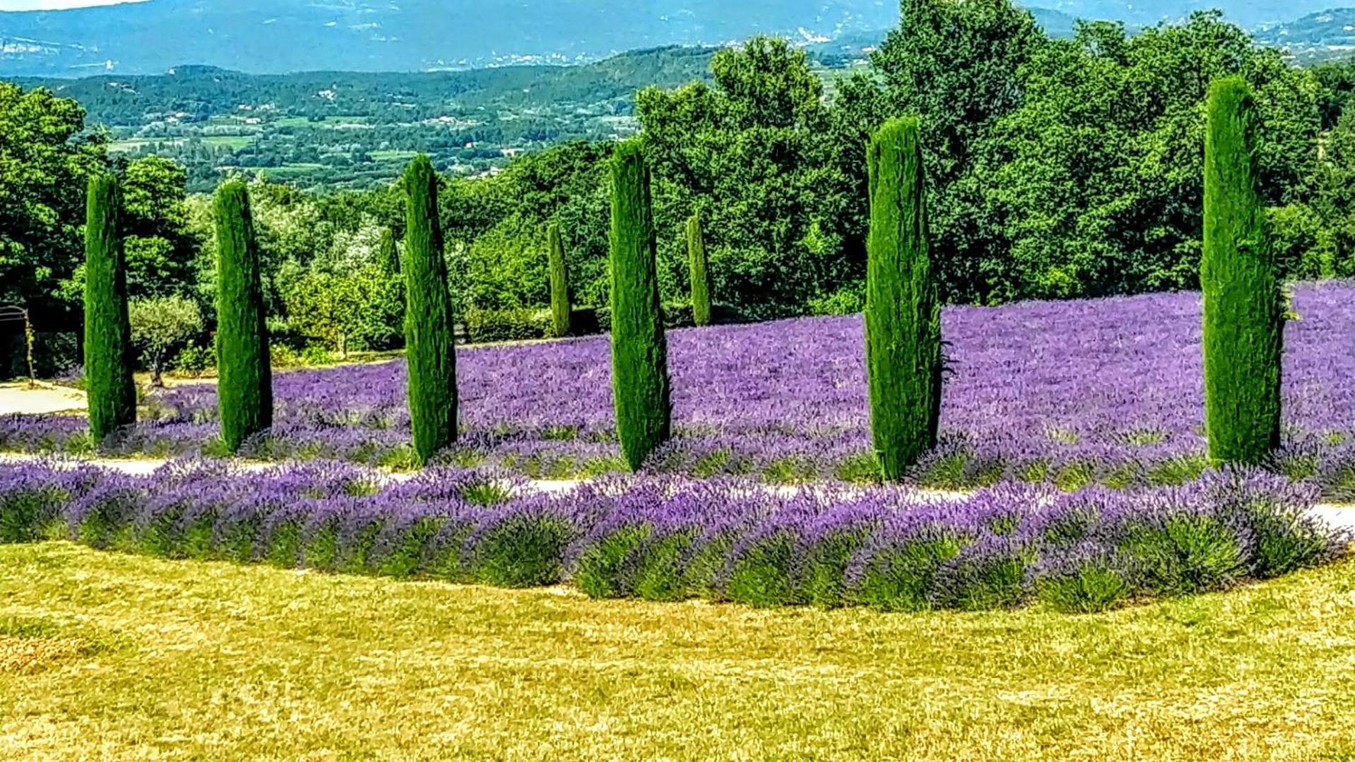 Le Mas De Roussillon Roussillon en Isere Extérieur photo
