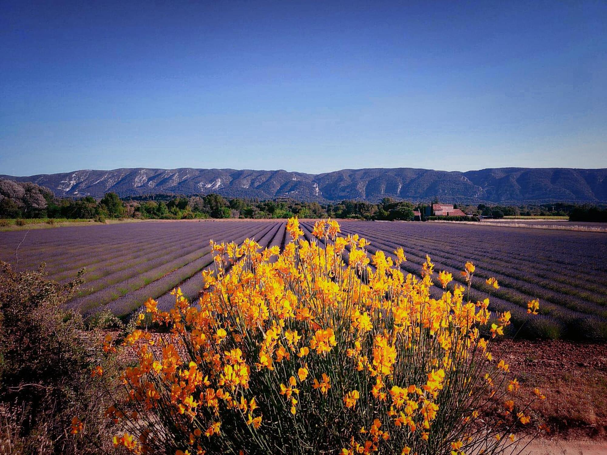 Le Mas De Roussillon Roussillon en Isere Extérieur photo
